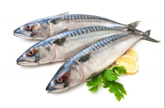 5 Manfaat Ikan Tenggiri untuk Kesehatan